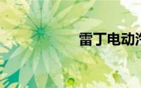 雷丁电动汽车车官网