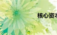 核心资本充足率