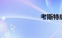 考斯特房车之家