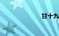 甘十九妹小说