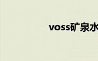 voss矿泉水多少钱一瓶