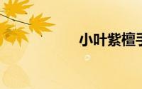 小叶紫檀手串怎么盘