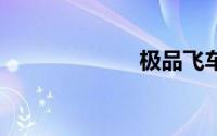 极品飞车13配置