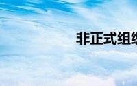 非正式组织名词解释