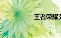 王者荣耀艾琳兑换码