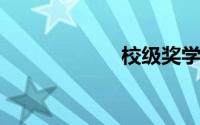 校级奖学金申请书