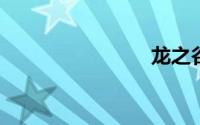 龙之谷名字