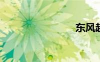 东风越野车