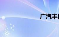 广汽丰田致炫x