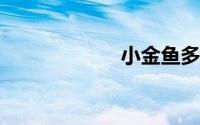 小金鱼多久喂一次