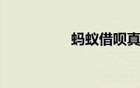 蚂蚁借呗真的影响房贷