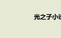 光之子小说人物关系