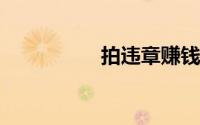 拍违章赚钱叫什么软件