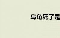 乌龟死了是替人挡灾吗