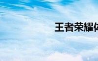 王者荣耀体验服申请