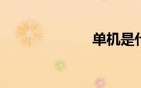 单机是什么意思