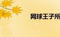 网球王子所有人物介绍