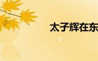 太子辉在东莞有多厉害