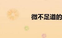 微不足道的道什么意思