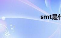 smt是什么玩意
