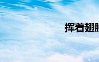 挥着翅膀的女孩