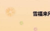 雪福来所有车型