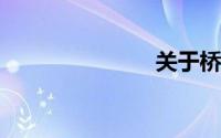关于桥的作文
