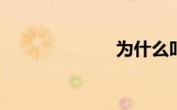 为什么叫小李子