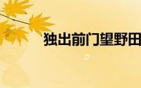 独出前门望野田的下一句是什么