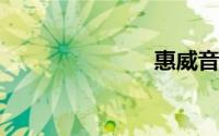 惠威音响论坛