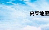 高粱地里我和丈母
