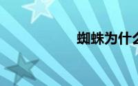 蜘蛛为什么不是昆虫