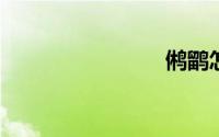 鸺鹠怎么读