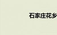 石家庄花乡二手车市场