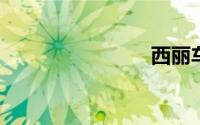西丽车管所