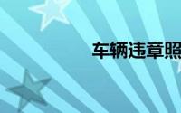车辆违章照片查询系统