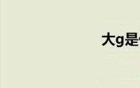 大g是什么车