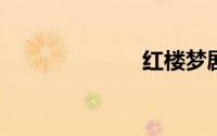 红楼梦剧情介绍