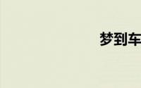 梦到车被偷了