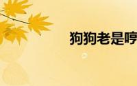 狗狗老是哼哧哼哧鼻子