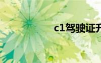 c1驾驶证升b2多少钱