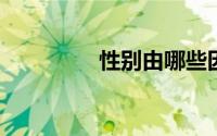 性别由哪些因素可以决定