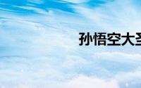 孙悟空大圣娶亲台词