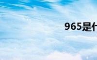 965是什么意思