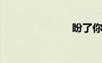 盼了你那么久