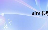 sim卡号是什么