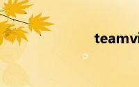 teamviewer7