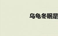 乌龟冬眠是什么样子的