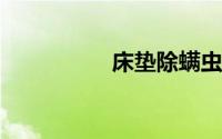 床垫除螨虫的简单方法