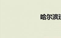 哈尔滨违章查询